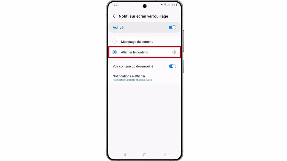 Choisissez l’option pour afficher les notifications.