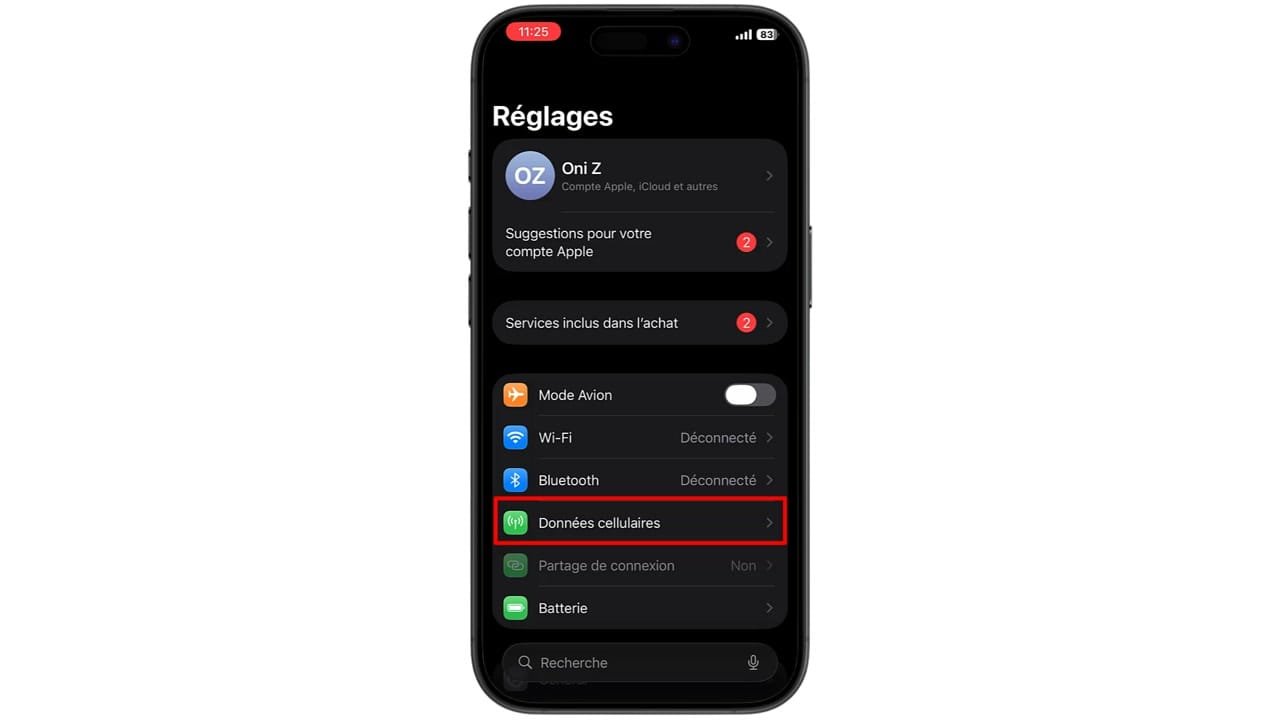 Appuyez sur « Données cellulaires ».