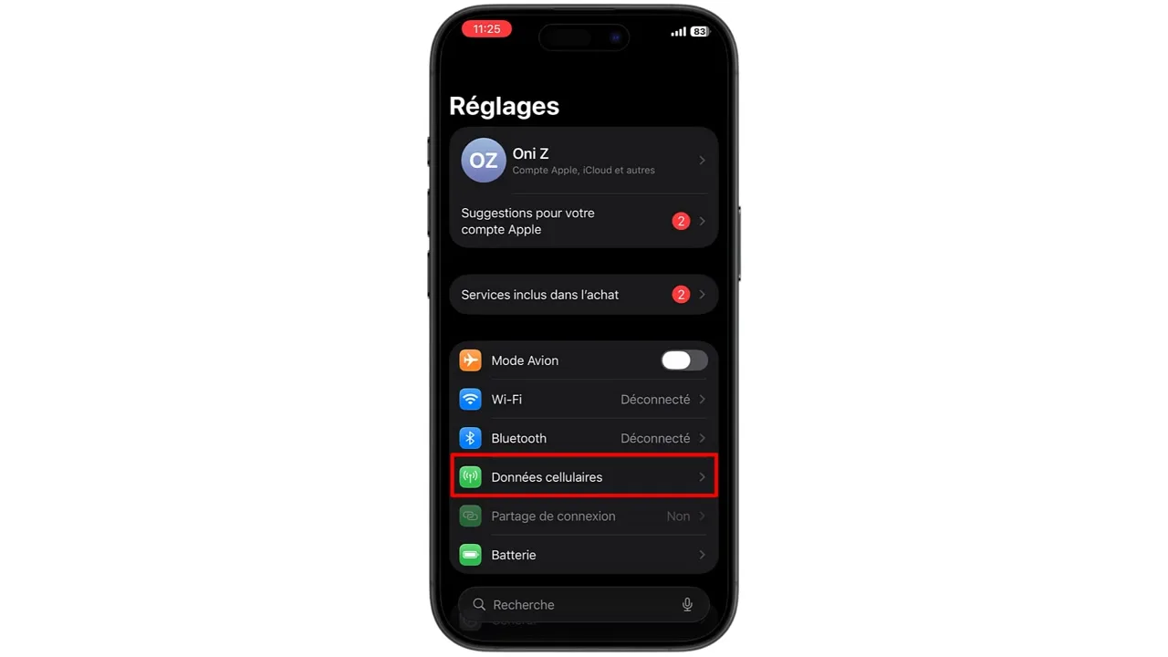 Appuyez sur « Données cellulaires ».