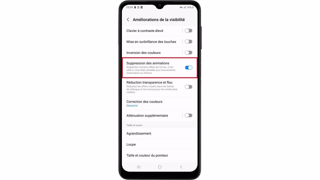 Activez l’option ‘Suppression des animations’.